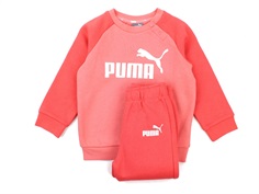 Puma sweatshirt og bukser minicats salmon